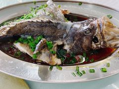 石斑鱼-红月湾海鲜饭店•沙滩海景(双月湾店)