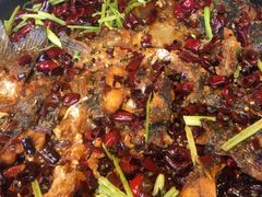 -老板恋上鱼(恒隆广场店)