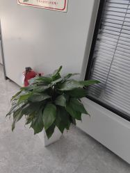 -悟空祛痘·诺奖技术专业店