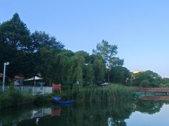 -新江湾城公园