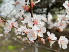 -白塘生态植物园