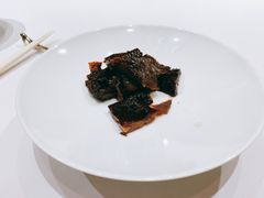 -西郊5号·Maggie 5