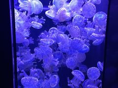 -成都浩海立方海洋公园