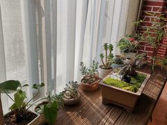 -歆和农庄·烤全羊