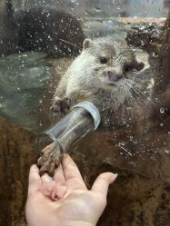 -Zoolung Zoolung动物主题公园(海信广场店)