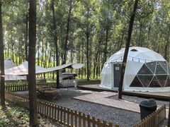 -森林小栈TreeStation露营基地