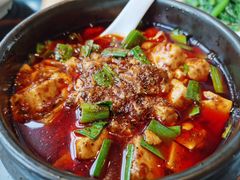 -陈麻婆豆腐总店