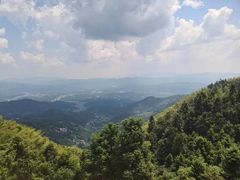 -紫鹊界梯田景区