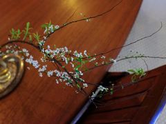 -Ginko银子(青龙街店)