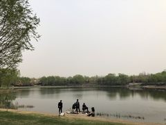 -北坞公园