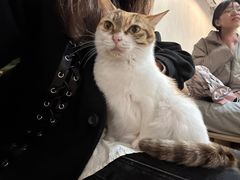 -爱诺耐芙动物医院(万博店)