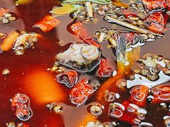 -王朝花椒鱼(杉板桥南一路店)