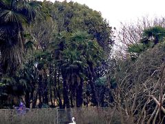 -常州淹城野生动物世界