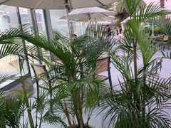 -木屋烧烤(惠阳华润小径湾店)