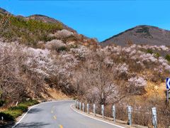 -妙峰山风景名胜区
