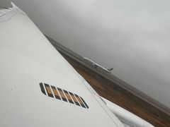 -全日本空输株式会社(上海办事处)