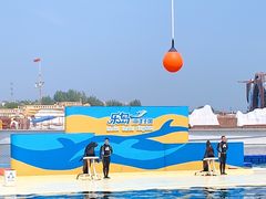 -秦皇岛乐岛海洋王国