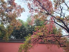 -唐城墙遗址公园