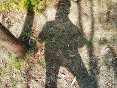 -明谷行馆·温泉