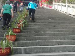 -荣县大佛