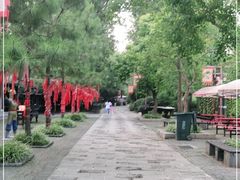 -合肥滨湖国家森林公园