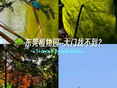 -东莞植物园