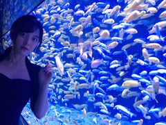 -成都浩海立方海洋公园