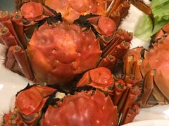 -舟山希尔顿酒店