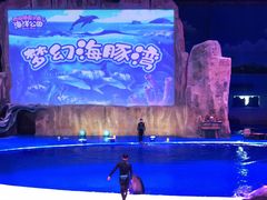 -华夏文旅海洋公园