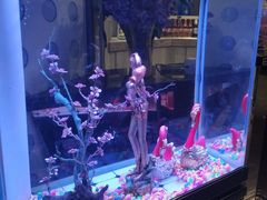 -巴特餐饮6加1音乐餐吧·新疆菜