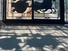 -秦始皇帝陵博物院(兵马俑)