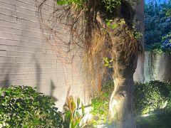 -大妙火锅·非物质文化遗产(东湖公园店)