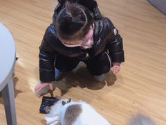 -啵啵喵·猫咖(攀华国际店)