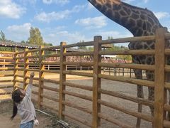 -鄂尔多斯野生动物园