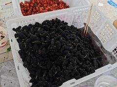 -桃源山庄·摘樱桃·柴火鸡·烧烤团建(龙泉山店)