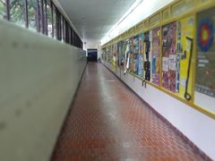 -香港大学
