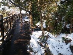 -张家界天门山国家森林公园