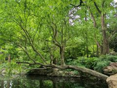 -浙江西子宾馆·瑶园咖啡厅