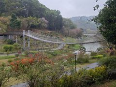 -东莞植物园