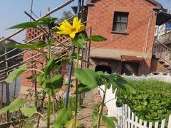 -星巴克(嘉定中信泰富万达广场店)