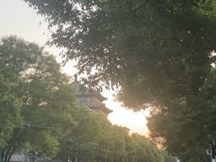 -潍坊菜馆(三里河南横街店)