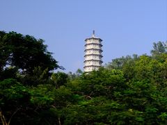 -深圳国际园林花卉博览园