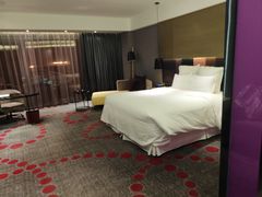 -南京禄口机场雅高铂尔曼大酒店