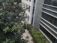 -南京国睿金陵大酒店