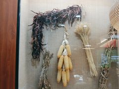 -光海·乡记酸菜鱼·始于1996(花园路店)