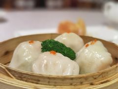 -榕树下海鲜楼(开元店)