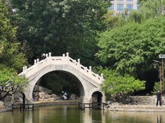 -团结湖公园