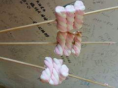 android_upload_pic-鬼味烤翅(南锣鼓巷店)