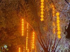 -万泉公园