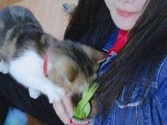 -李小姐の猫咖啡馆(五角场店)